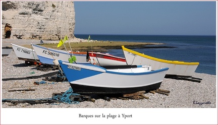 Barques-dYport