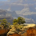 grand-canyon-Arizona-36